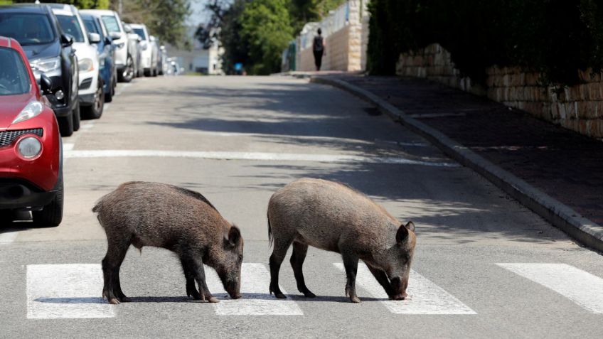 FOTOS: La Tierra, antes y después de la pandemia de Covid-19