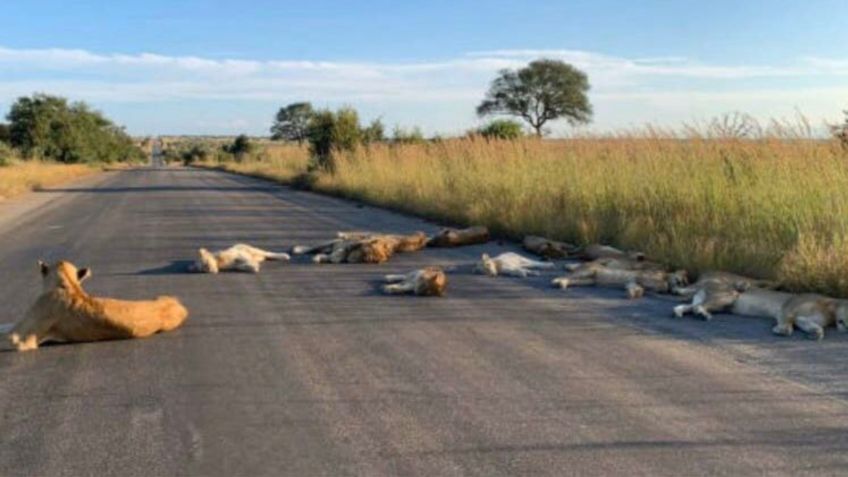 FOTOS: La Tierra, antes y después de la pandemia de Covid-19