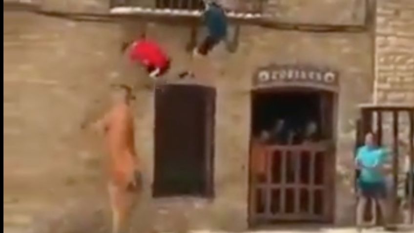 VIDEO VIRAL: ¡Impresionante! Vaca hace parkour sobre un muro