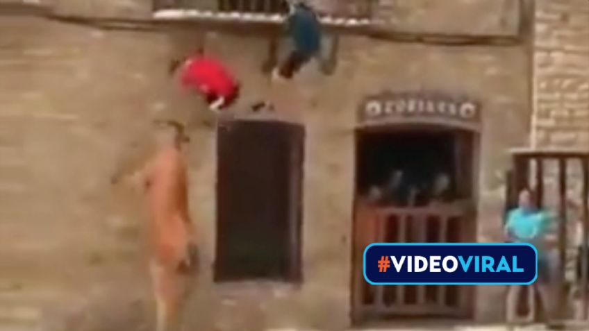 VIDEO VIRAL: ¡Impresionante! Vaca hace parkour sobre un muro