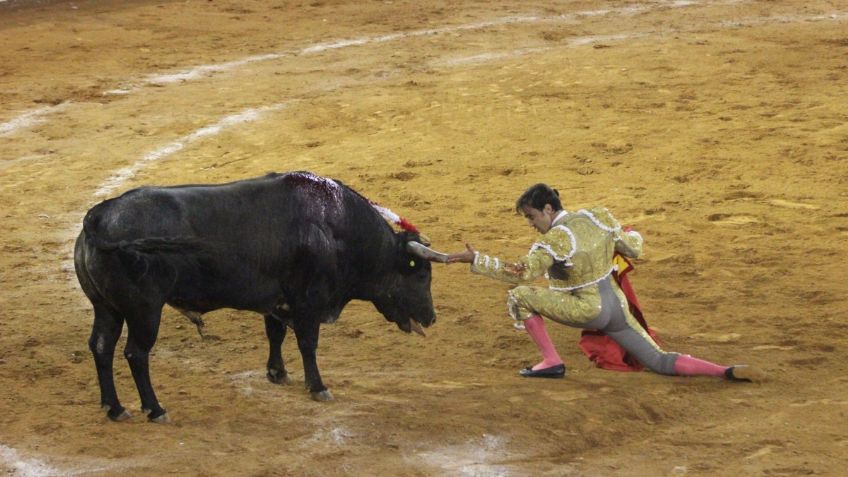 El mundo de los toros, al borde la crisis por pandemia del Covid-19