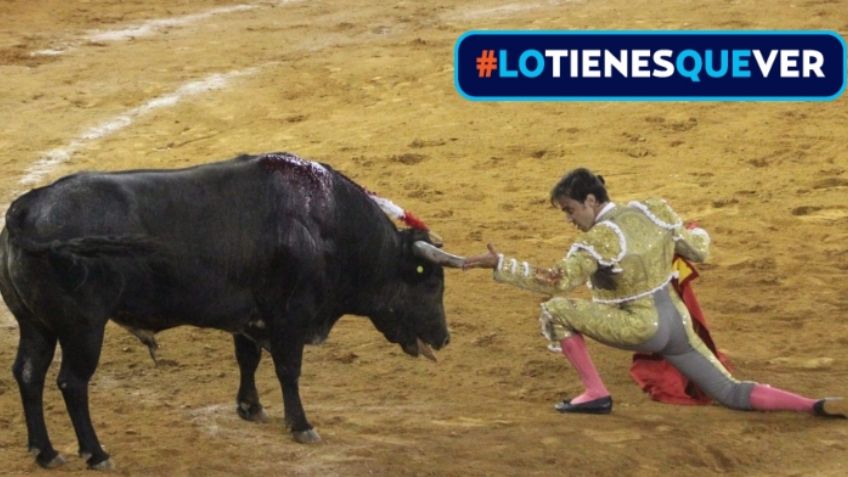 El mundo de los toros, al borde la crisis por pandemia del Covid-19