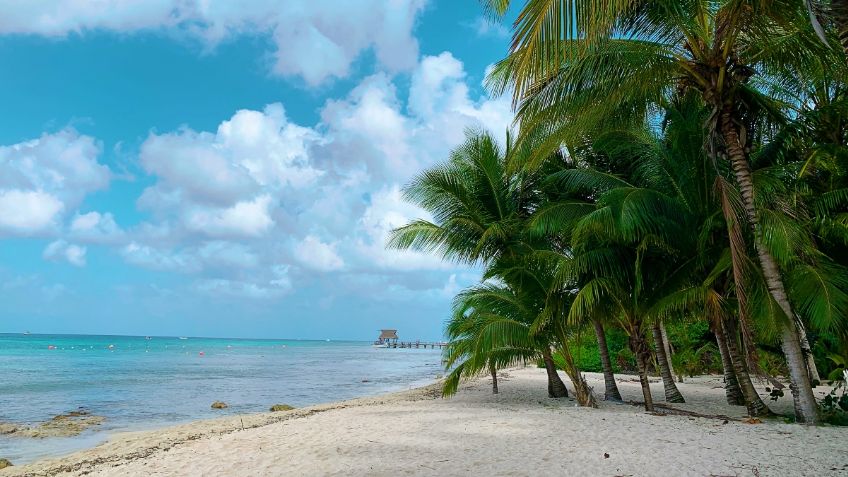 Analizan reapertura de Cozumel, el principal destino de cruceros de México