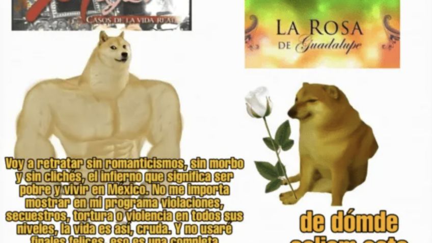 ¿De dónde surge el MEME del perro antes y ahora?