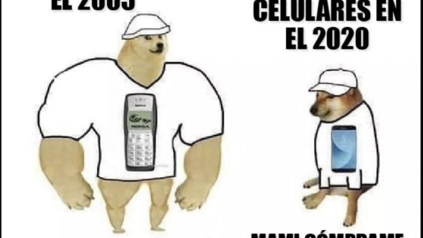 ¿De dónde surge el MEME del perro antes y ahora?