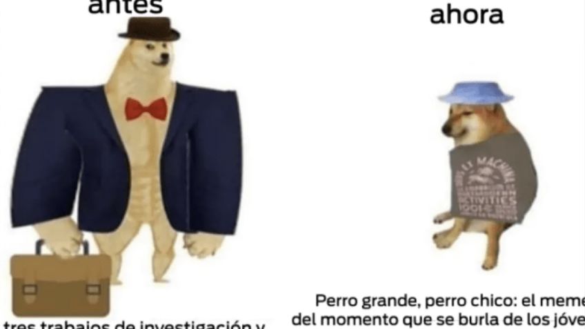 ¿De dónde surge el MEME del perro antes y ahora?