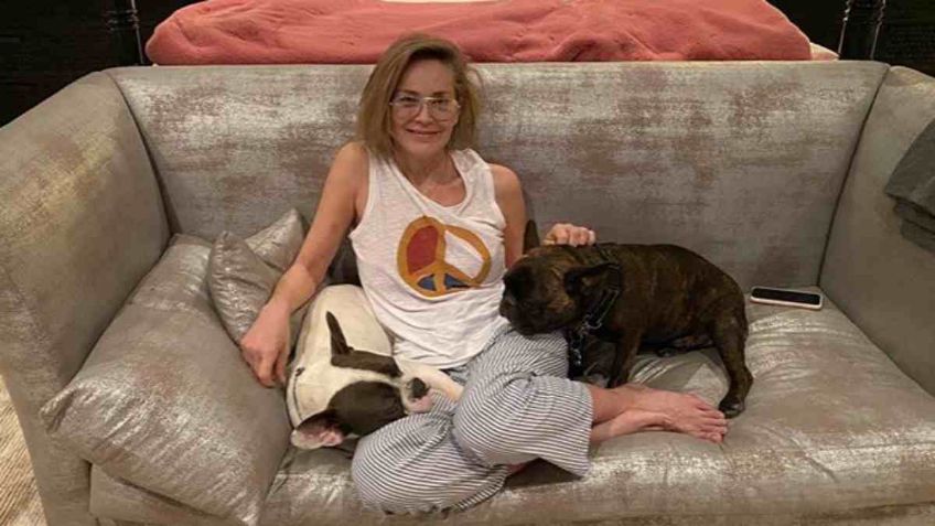 ¡Increíble! Sharon Stone revela que un rayo le cayó mientras planchaba