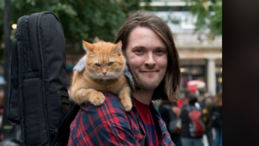 Murió el gato que salvó de las adicciones a James Bowen e inspiró un libro y una película