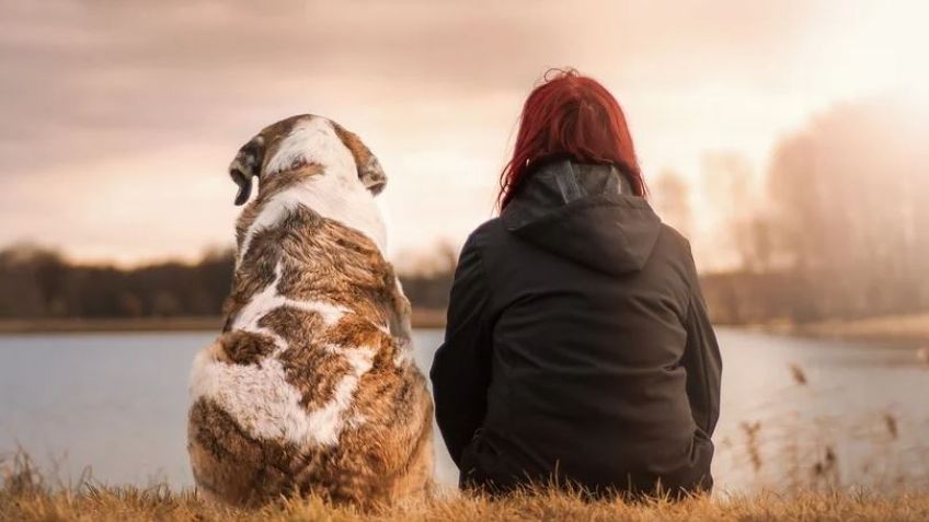 Día Mundial del Perro: ¿Cuándo es en México y por qué se celebra?