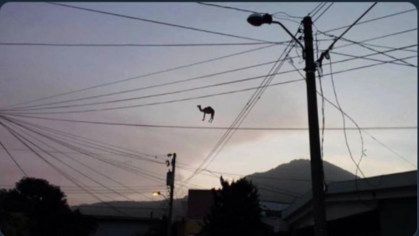 Nube de polvo del Sahara llega a México en forma de memes