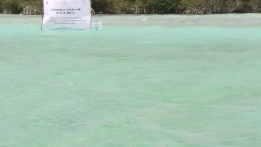 Laguna de Bacalar se recupera y aumenta de nivel: FOTOS + VIDEOS