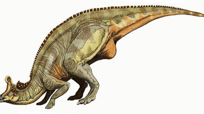 Estos son los dinosaurios que vivieron en México; medían más de 20 metros