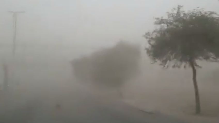 ¿Eres tú nube de polvo del Sahara? Tolvanera sorprende a habitantes de Torreón: VIDEOS