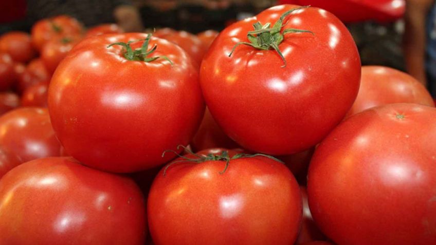 ¿Cuál es la diferencia entre JITOMATE y TOMATE?