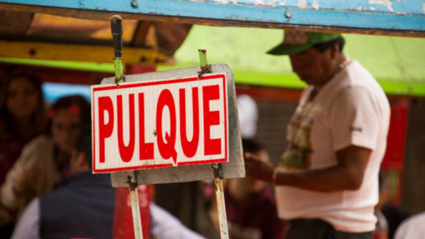 ¿De qué está hecho el PULQUE, la llamada "bebida de los dioses"?