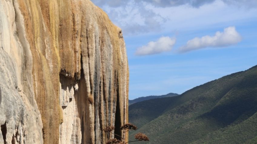 Día Mundial del Medio Ambiente: conoce estas imponentes reservas naturales mexicanas