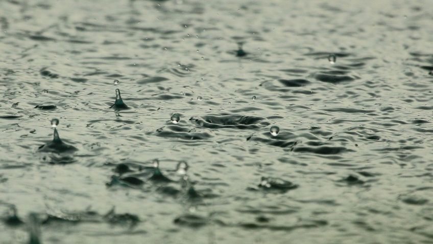 ¿Qué es y por qué nos gusta tanto el PETRICOR, el olor a lluvia?