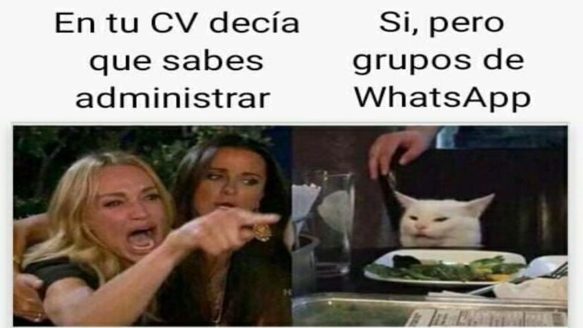 Día de la secretaria: Reconocen su labor con divertidos MEMES