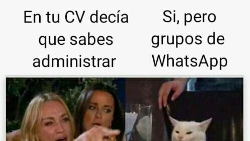 Día de la secretaria: Reconocen su labor con divertidos MEMES