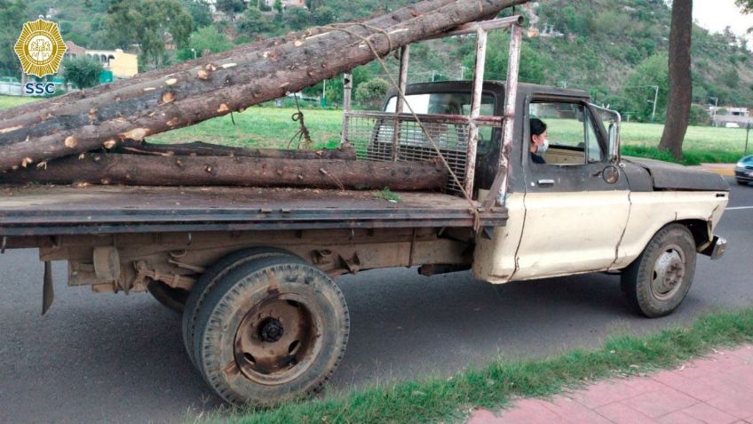 Detienen a tres hombres por tala ilegal de árboles en Milpa Alta