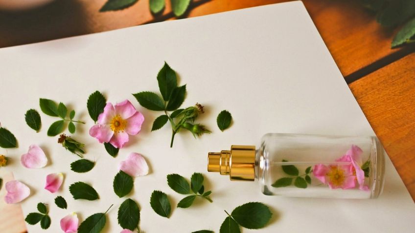 ¡Qué fragancia! Estas son las 10 flores con mejor perfume