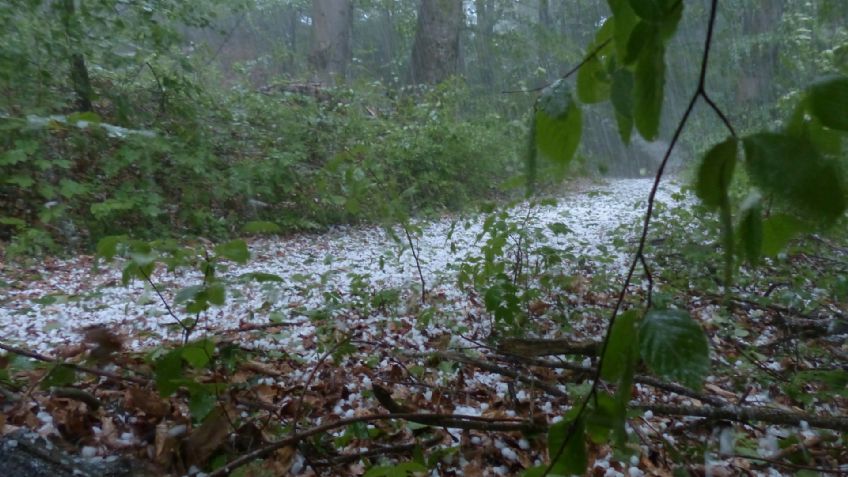 ¿Qué es el granizo y cuál es su proceso de formación? FOTOS + VIDEOS