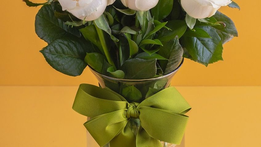 ¿Vas a regalar flores blancas? Ve cuáles son las mejores y a quién dárselas