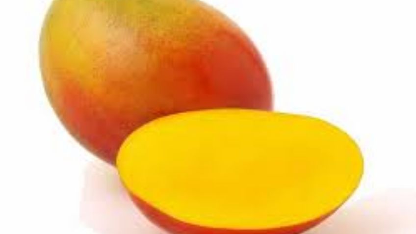 ¡No solo es el manila! Estos son todos los tipos de mangos que existen