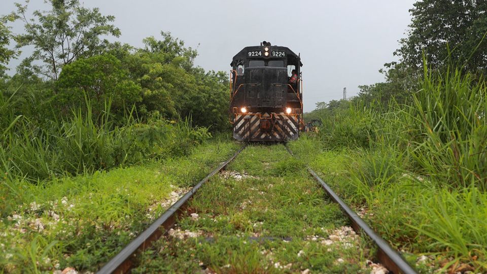 Habrá una ampliación del camellón de la carretera federal 307