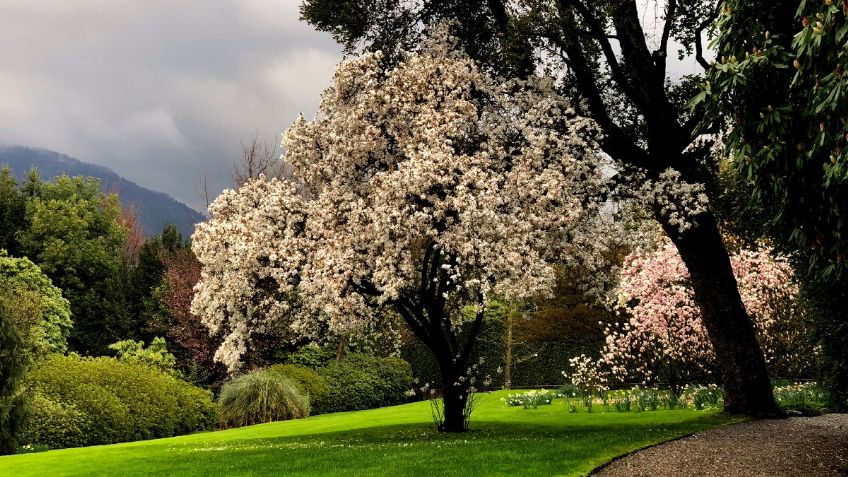 El Jardín Botánico de Chapultepec