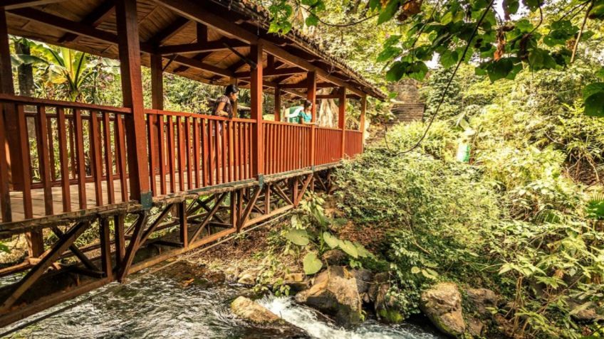 Parque Nacional Barranca de Cupatitzio, una opción salvaje para visitar después de la pandemia