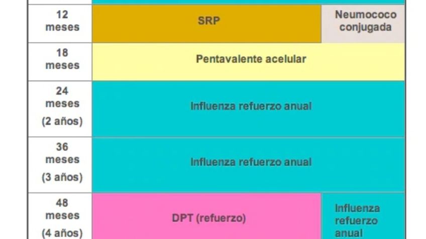 ¿Qué importancia tiene la CARTILLA DE VACUNACIÓN? Aquí todo lo que debes saber