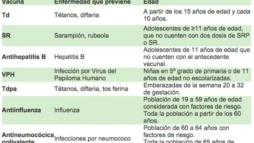 ¿Qué importancia tiene la CARTILLA DE VACUNACIÓN? Aquí todo lo que debes saber