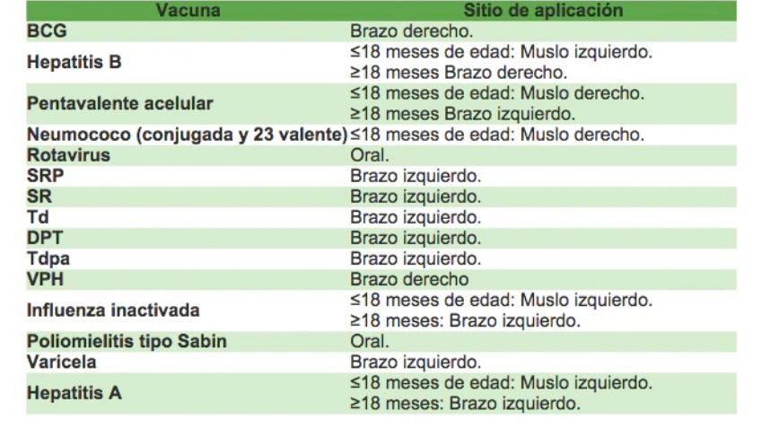 ¿Qué importancia tiene la CARTILLA DE VACUNACIÓN? Aquí todo lo que debes saber