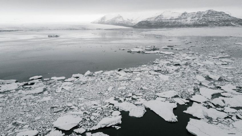 Extraña CRIATURA fue descubierta en la Antártida; sobrevivió 30 eras glaciales