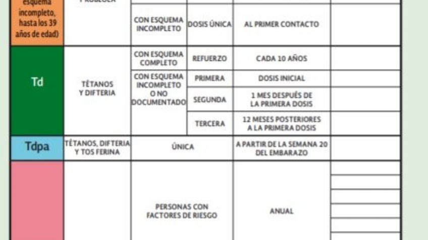 ¿Qué importancia tiene la CARTILLA DE VACUNACIÓN? Aquí todo lo que debes saber