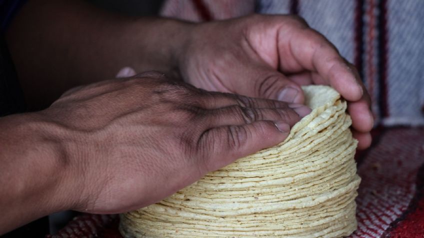 Venta de tortillas y harina en EU impulsan resultados globales de Gruma