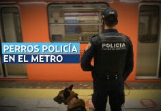 Foto ilustrativa de nota Perros policía darán seguridad en el Metro