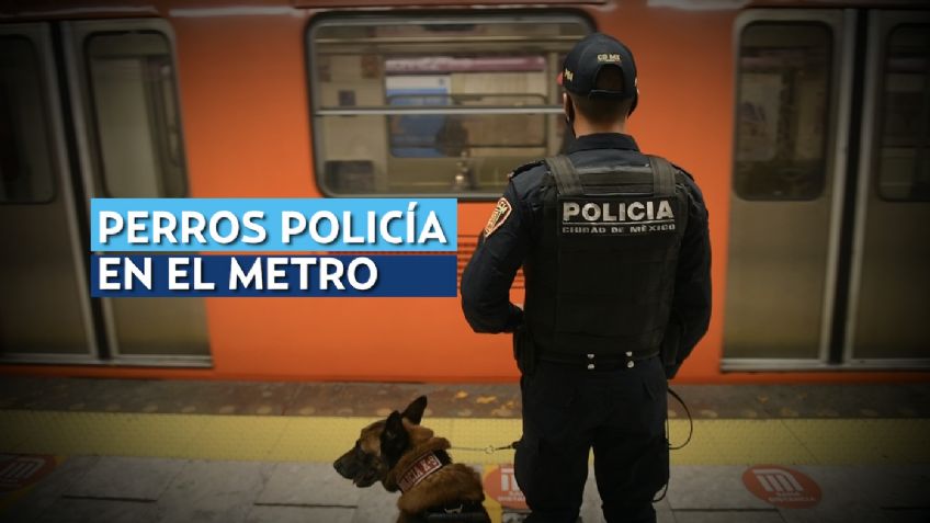 Perros policía darán seguridad en el Metro