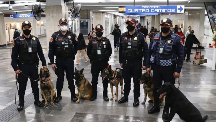 Binomios caninos darán seguridad en el Metro de la CDMX