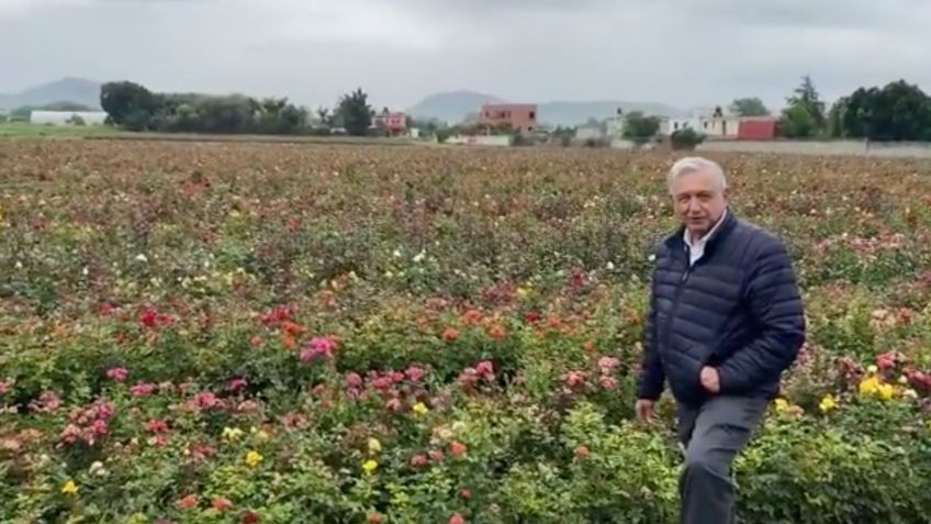 "Esto es México, es la vida", AMLO hace pausa en su gira para admirar rosal de Atlixco