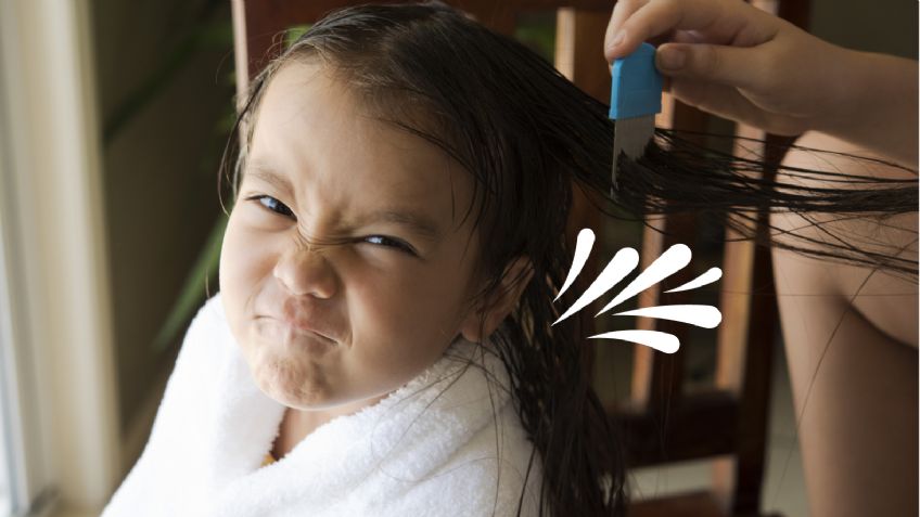 ¿Piojos? Elimínalos fácilmente con estos productos de cocina