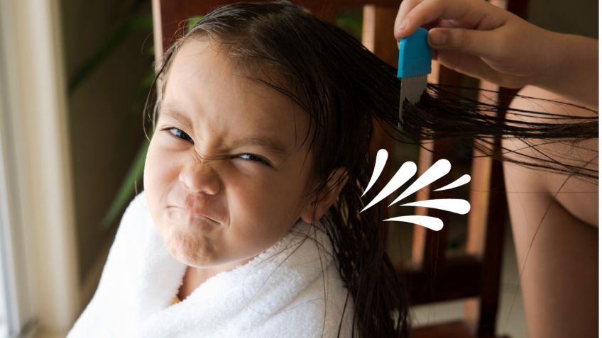 ¿Piojos? Elimínalos fácilmente con estos productos de cocina