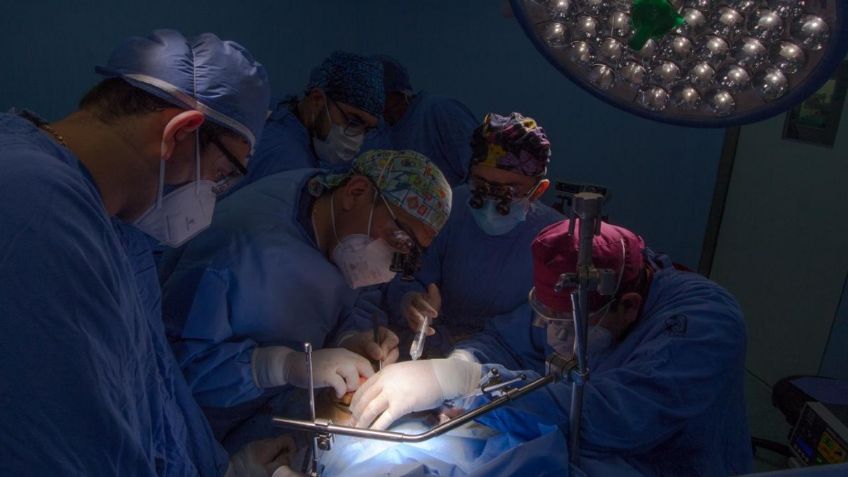 Niño recibe primer trasplante de hígado desde el inicio de la emergencia por Covid-19