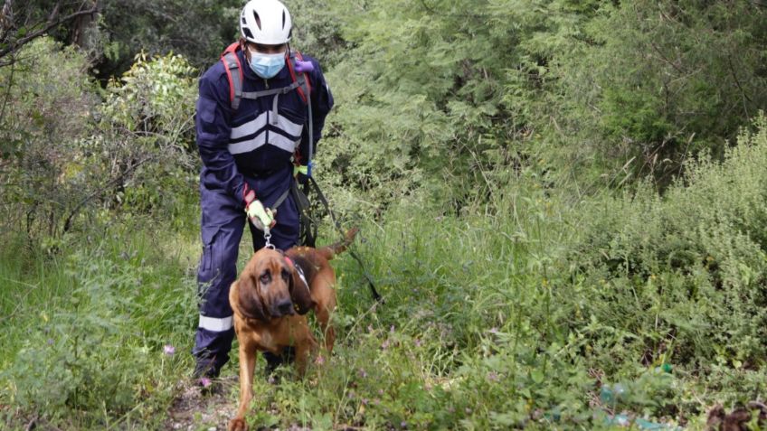 Presentan cuadrilla de perros rescatistas en Puebla