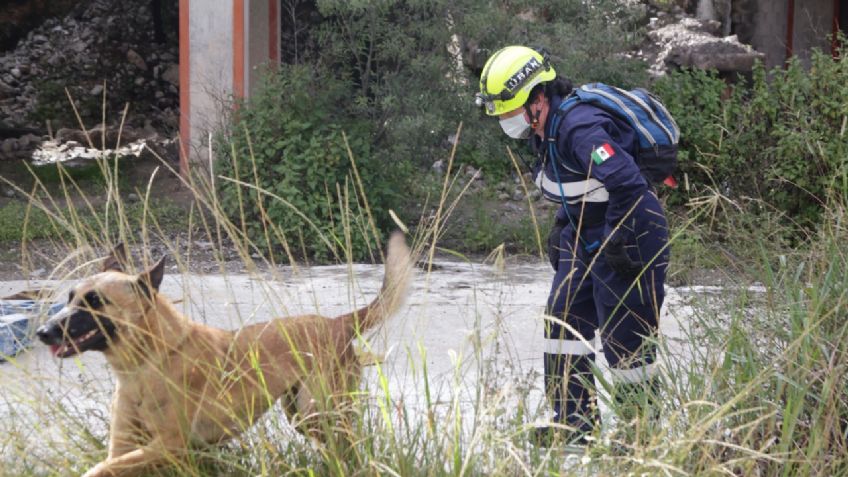 Presentan cuadrilla de perros rescatistas en Puebla