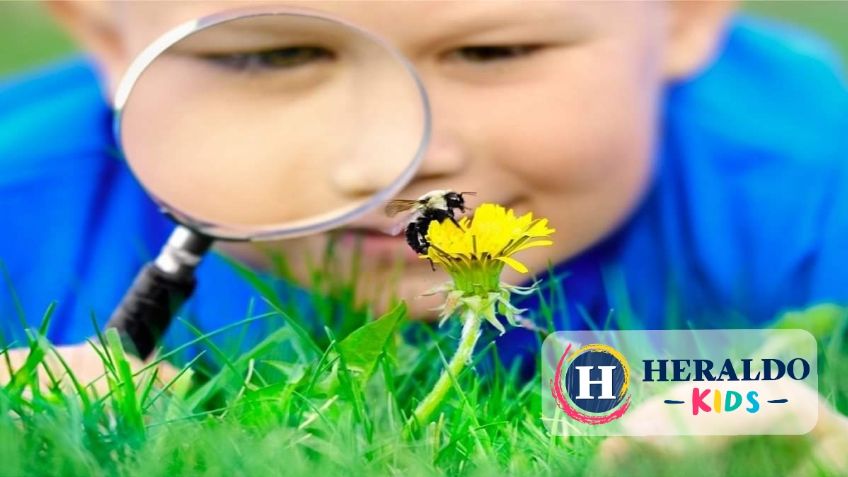 Las abejas para niños: Realiza esta manualidad y aprende sobre su importancia en el planeta