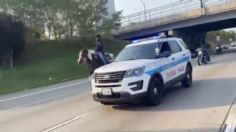 Arrestan a “vaquero” por montar a caballo en autopista de Chicago