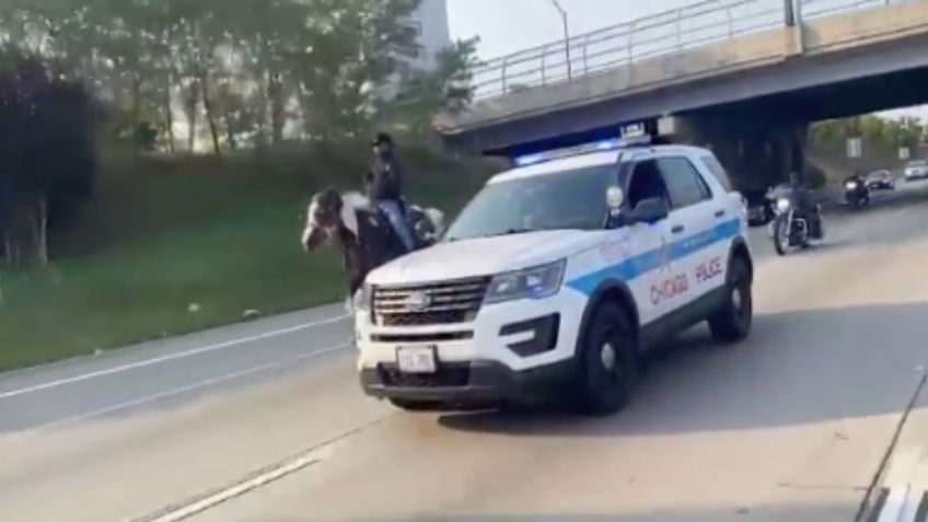 Arrestan a “vaquero” por montar a caballo en autopista de Chicago