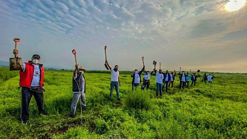 Conmemoran en Tláhuac el "Día Internacional de la Paz" con jornada de reforestación